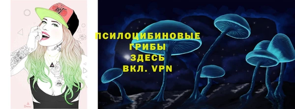 МДПВ Абинск