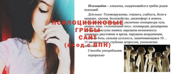гашик Абдулино